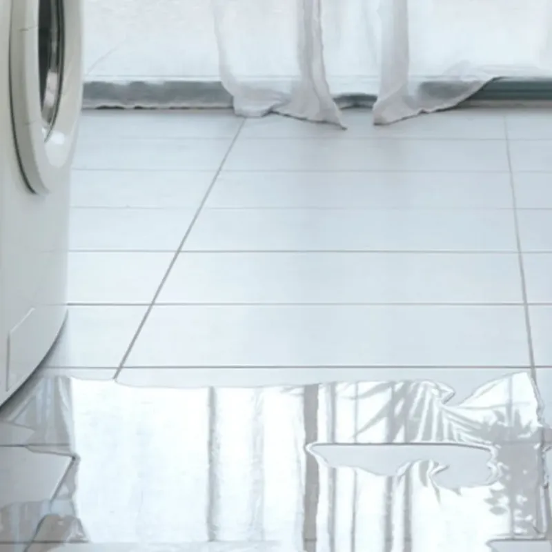 Appliance Leak Cleanup in Sheboygan Falls, WI