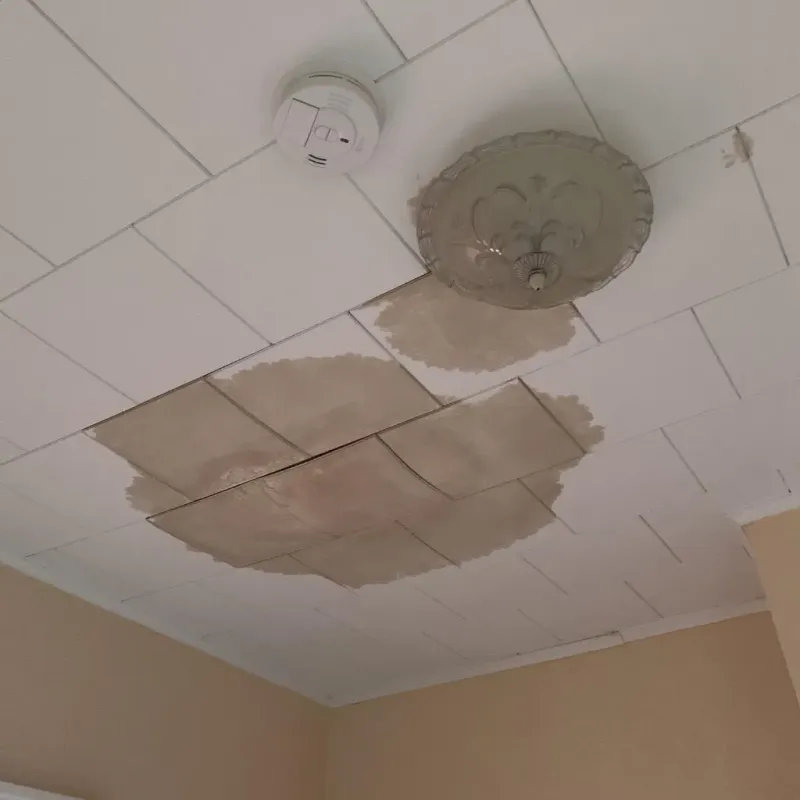 Ceiling Water Damage Repair in Sheboygan Falls, WI