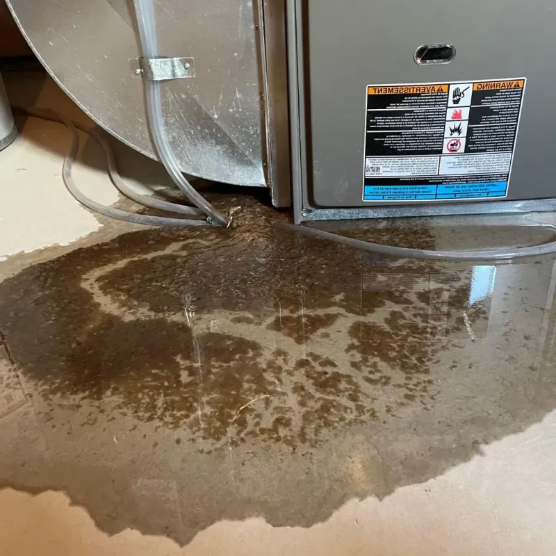 Pipe Burst and Leak Restoration in Sheboygan Falls, WI